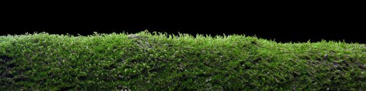 8906451478_671b5c2c03_c